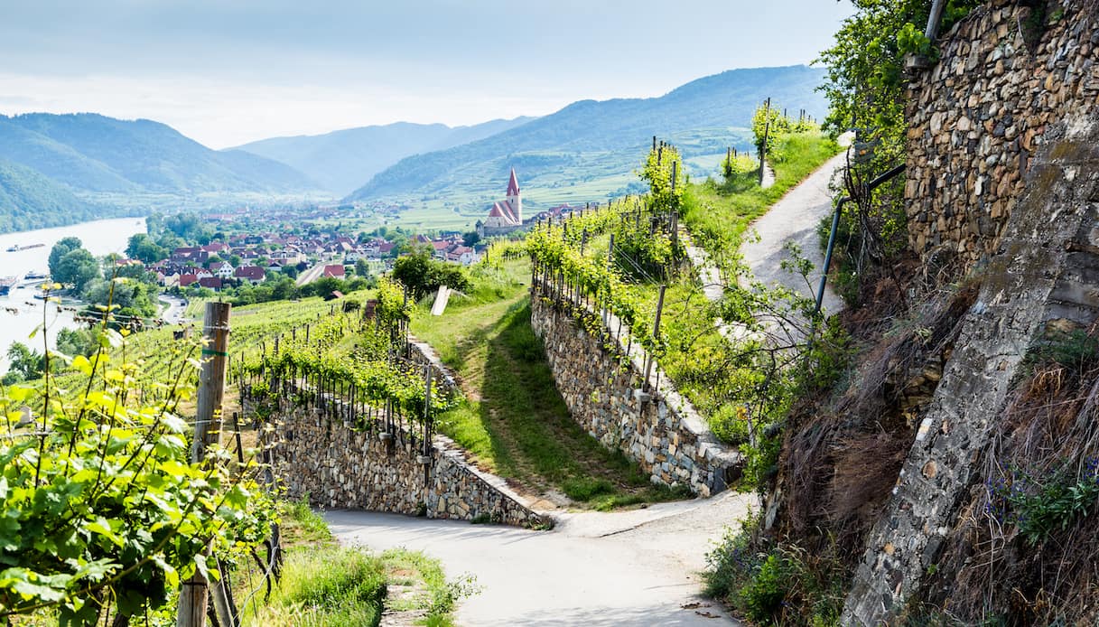 Le migliori destinazioni per gli amanti del vino