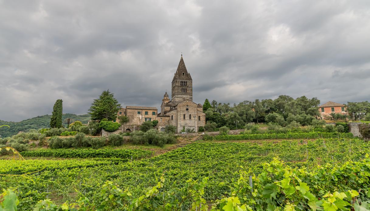 Basilica dei Fieschi cogorno