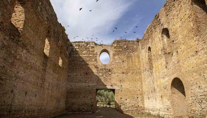 Parco-archeologico-Scolacium-calabria