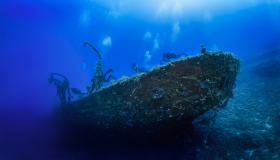 Pazzesca scoperta nei fondali della Manica