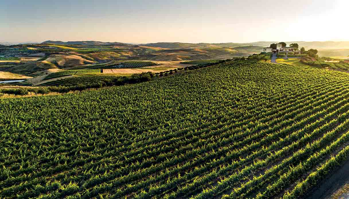 Le meraviglie della Sicilia fuori rotta