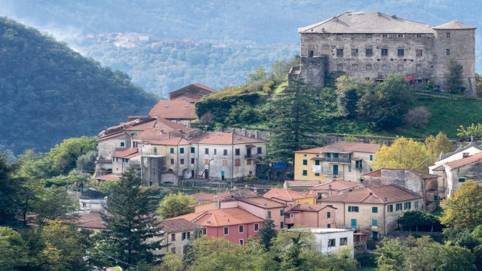 L’ultima frontiera dei viaggi: l’apiturismo, dove farlo in Italia