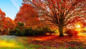 Feste, riti e tradizioni dal mondo per celebrare l’equinozio d’autunno