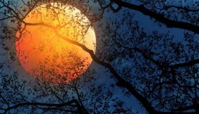 Ottobre a testa in su per ammirare la prima Luna piena d’autunno (e non solo)