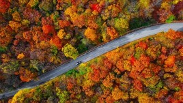 L’Italia si tinge di magia: la mappa del foliage
