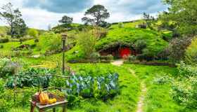 Viaggio nella Terra di Mezzo, tra Hobbit e Anelli