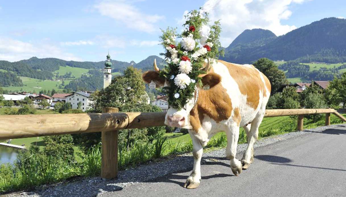 Transumanza in Tirolo