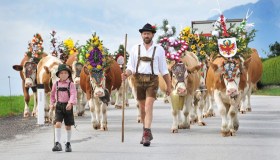 Le vie della transumanza: esperienza straordinaria tra passato e presente