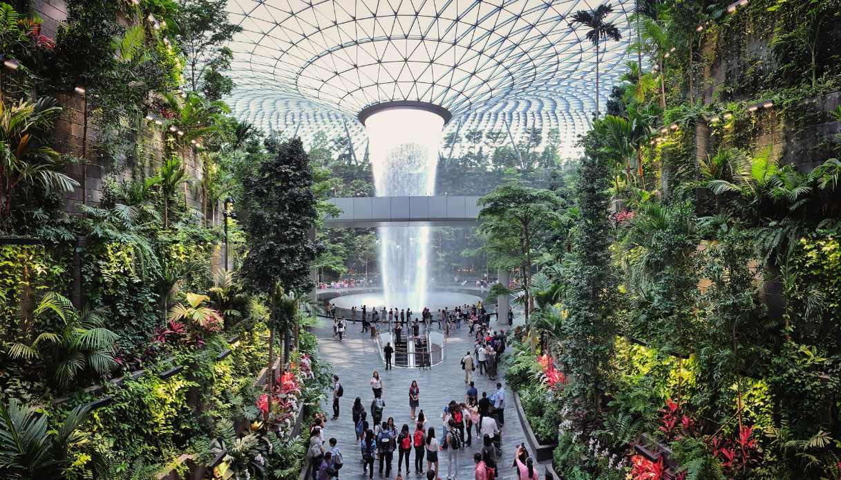 aeroporto singapore green