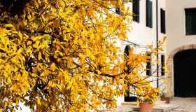 Uno dei foliage più belli d’Italia lo puoi vedere nel Veneto