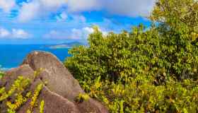 Non solo mare: tutto il meglio delle Seychelles