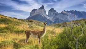 Dove fare i safari più belli della tua vita