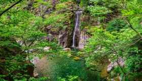 Parco nazionale della Val Grande: cosa visitare assolutamente