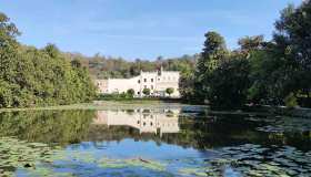 Lungo la Strada del Vino dei Colli Euganei, le tappe imperdibili