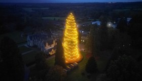 Inizia la caccia agli alberi di Natale più belli: questo è spettacolare