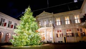 I 10 alberi di Natale più belli del 2022