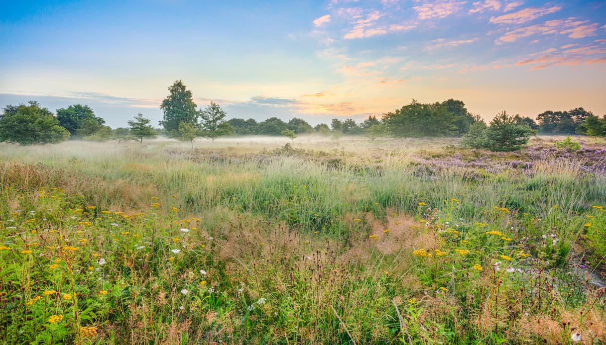 Nationaal_Park_Hoge_Kempen