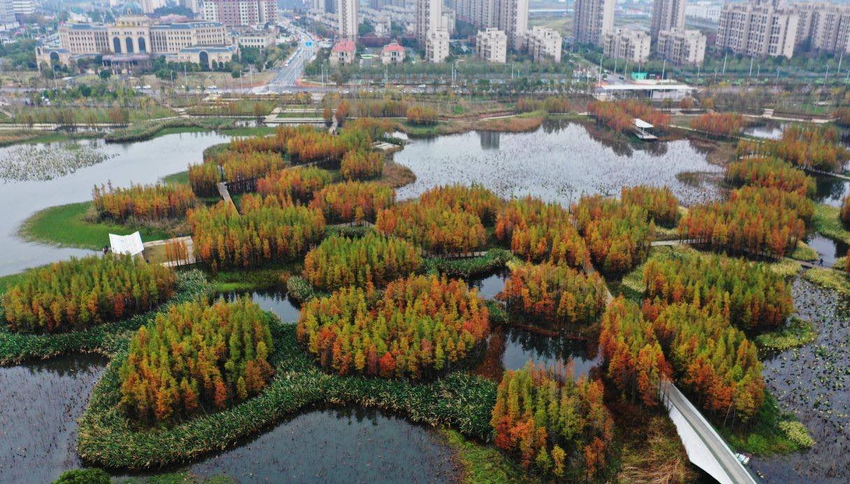 Fish Tail Park, Nanchang