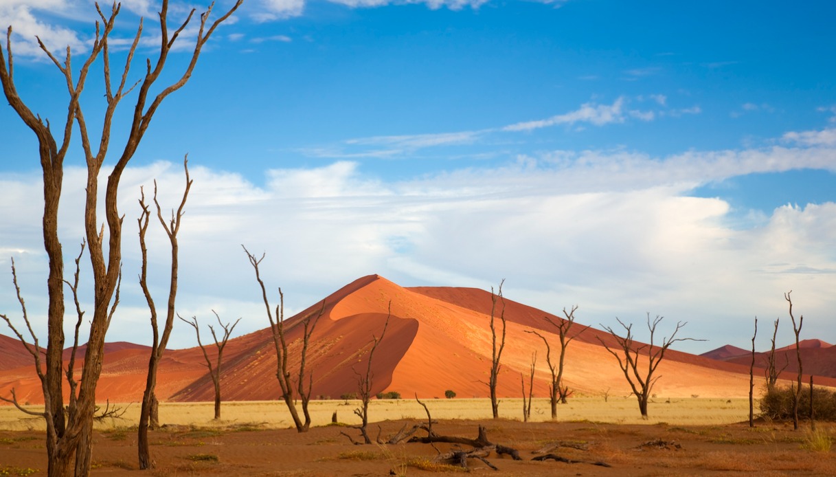 Dune 45, Sossusvlei