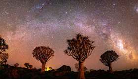 Notte nella foresta, sotto il cielo stellato più bello del mondo