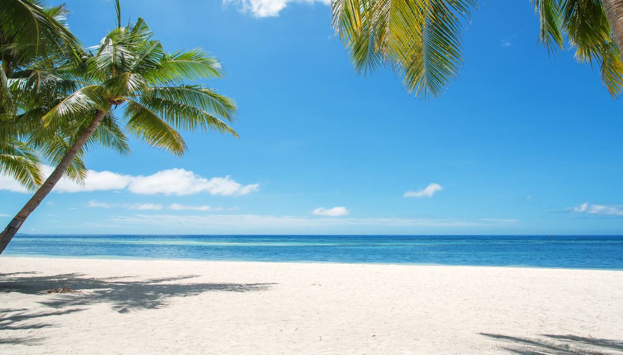 filippine bohol mare