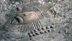 In Qatar uno dei siti archeologici più incredibili al mondo