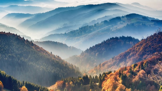 Alla scoperta della Foresta Nera sulle orme delle sue particolari leggende