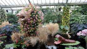 Perché dovresti visitare adesso i giardini delle meraviglie di Londra