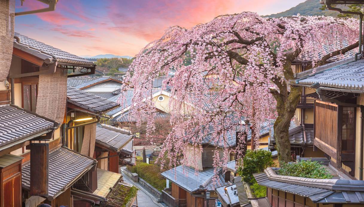 Kyoto, giappone