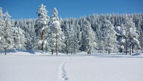 Oslo, la Capitale con una foresta nel cuore della città