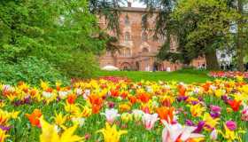 C’è un posto in Italia che sembra uno scorcio d’Olanda