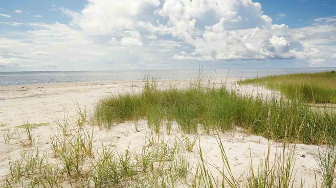 “Outer Banks”: dove si trova l’isola della serie Tv Netflix