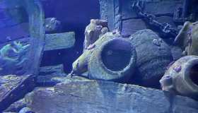 Due antichi tesori riemergono dal mare italiano