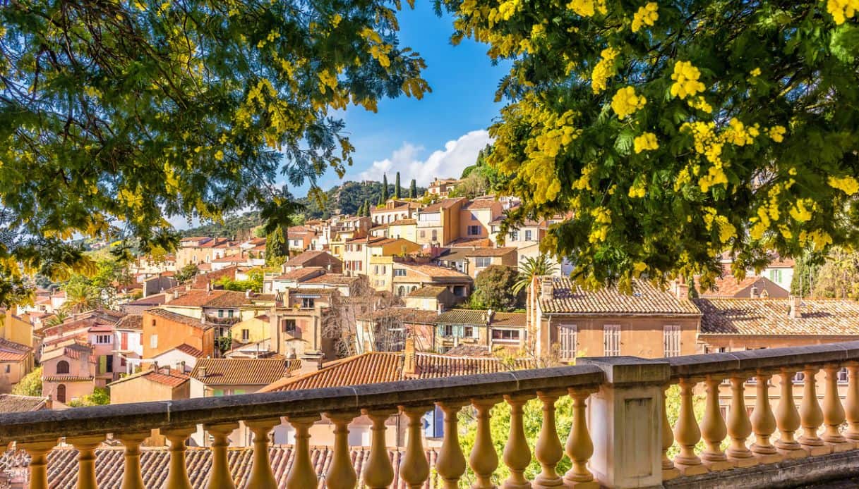 L’itinerario dei fiori in Francia, spettacolo vero