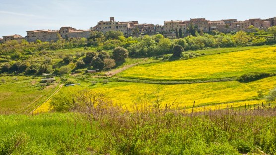 Casole d’Elsa, in Toscana, il regno della bicicletta