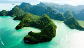 Ora puoi vivere in maniera interattiva un’incredibile foresta