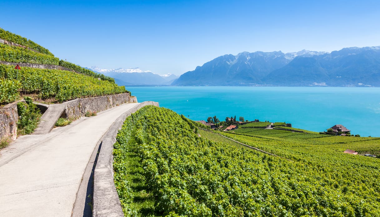 I vigneti terrazzati a due passi dall’Italia sono un sogno