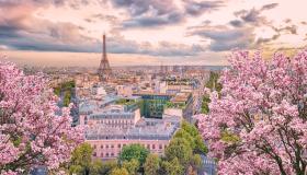 I ciliegi sono in fiore a Parigi: l’Hanami ha inizio