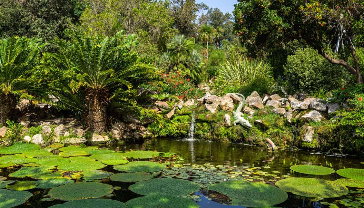 Giardino La Mortella, capolavoro del Sud Italia