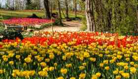 10 idee di viaggio per i ponti di primavera in Italia