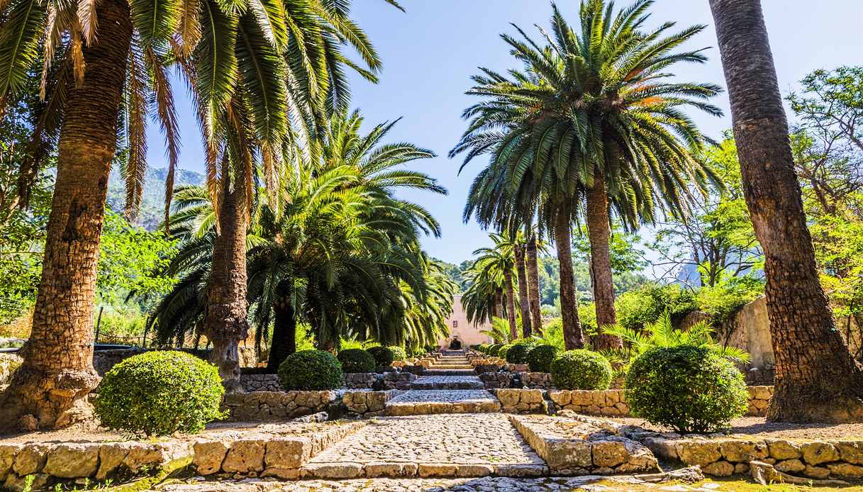 A Maiorca si trova uno dei giardini più belli del mondo