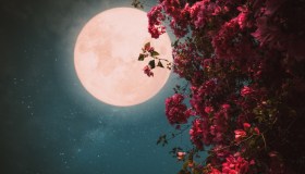 Notti incantate a testa in su: il cielo di maggio dà spettacolo