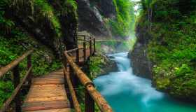 I parchi naturali più belli d’Europa per la primavera