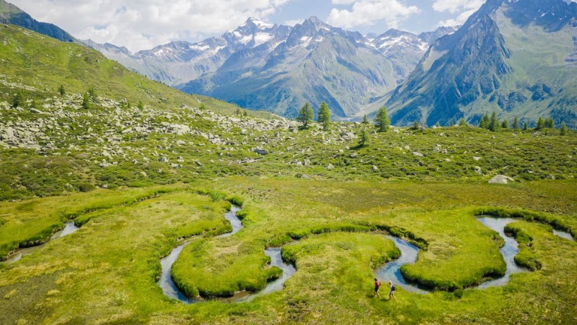 Alla scoperta del biotopo Wieser Werfer, da percorrere a piedi nudi