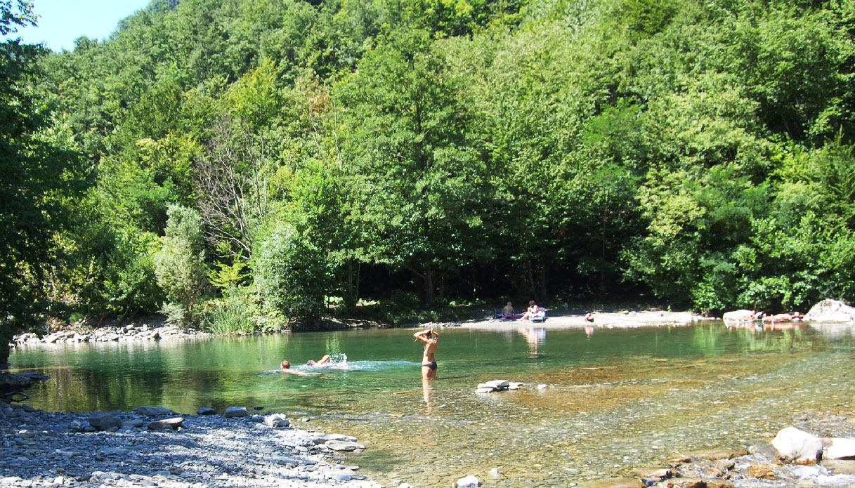 Tuffi e nuotate