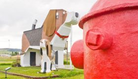 Dormire in un cane: l’alloggio stravagante per gli amanti degli animali