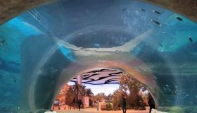 Questa estate potrai entrare nel regno oceanico