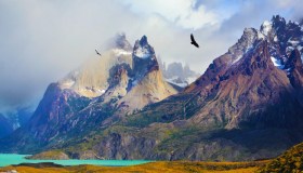 Puoi passeggiare tra torri naturali che sfiorano il cielo