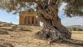Trovati i resti di un antico edificio in Italia: la scoperta sensazionale