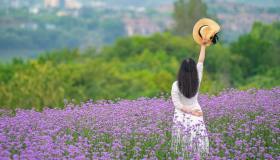 C’è ancora un’altra fioritura da ammirare: sta tingendo il mondo di viola